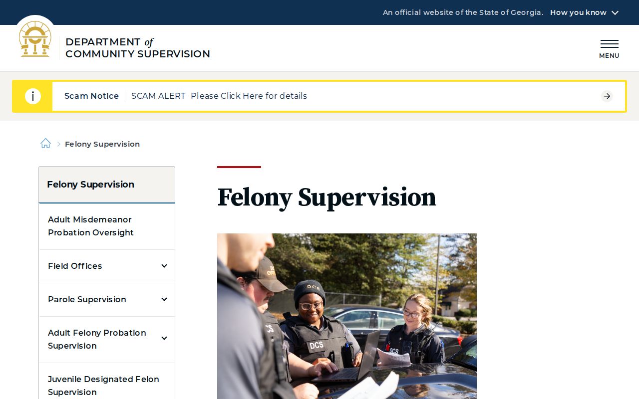 Georgia DCS information for Tattnall County parole and probation